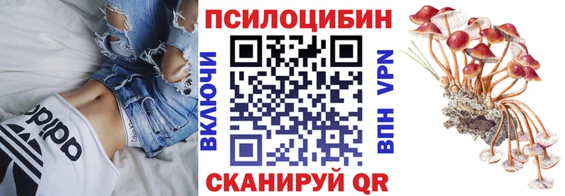 хочу   Первомайск  Галлюциногенные грибы GOLDEN TEACHER 